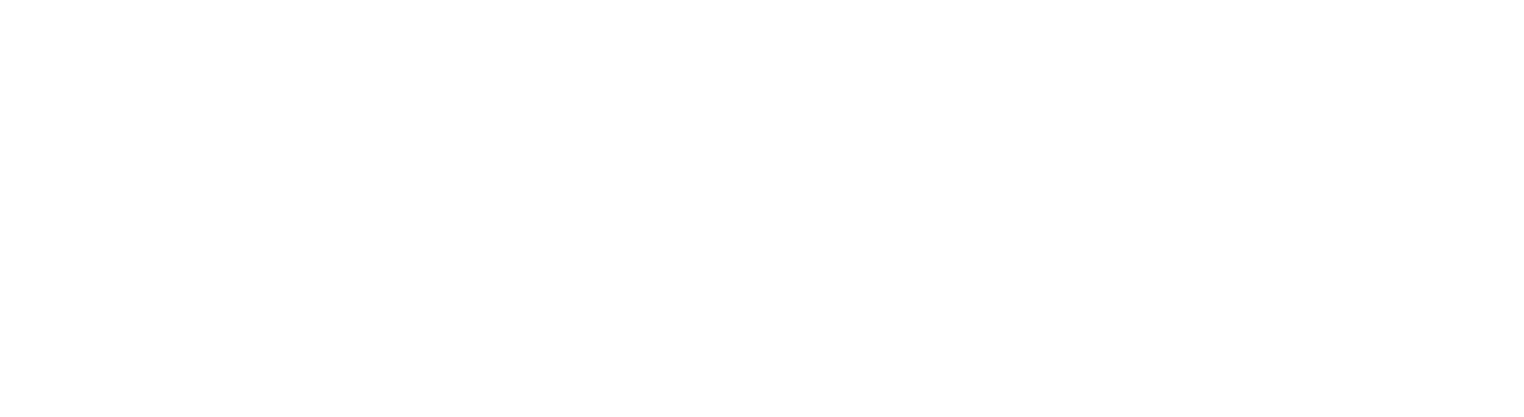 rapport_wordmark_white@3x